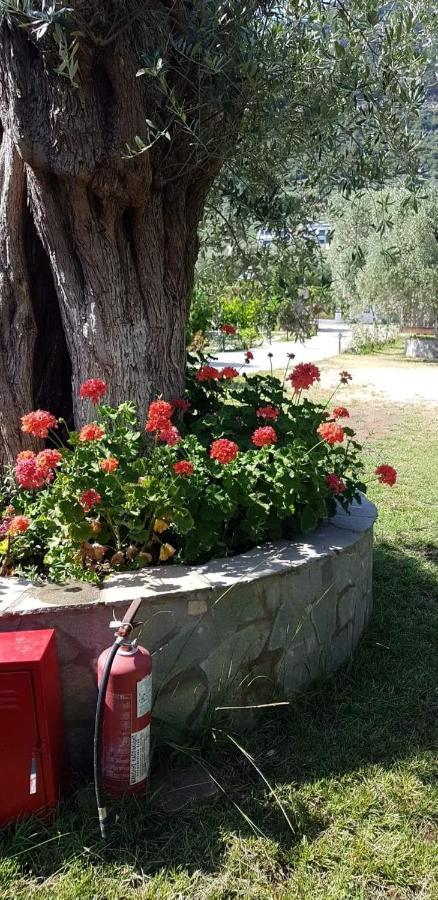 Hotel Maria Chrysi Ammoudia Dış mekan fotoğraf