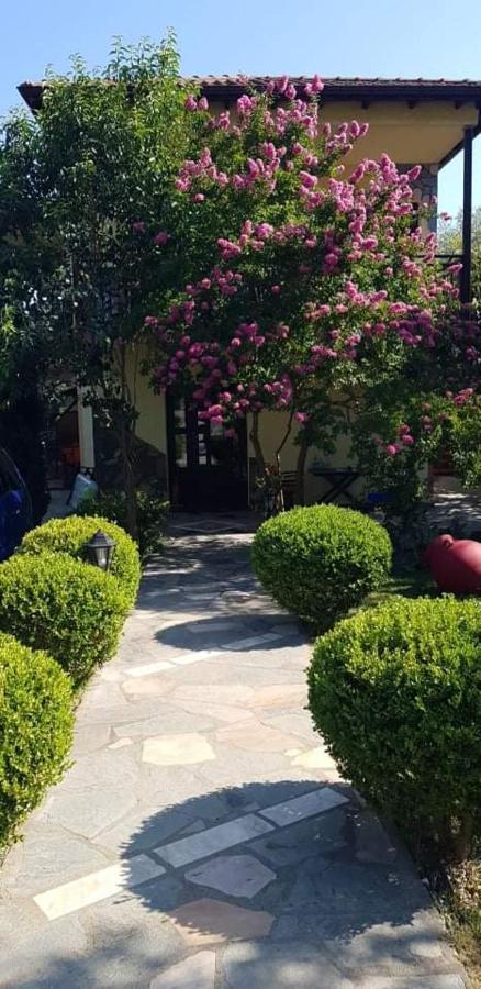 Hotel Maria Chrysi Ammoudia Dış mekan fotoğraf