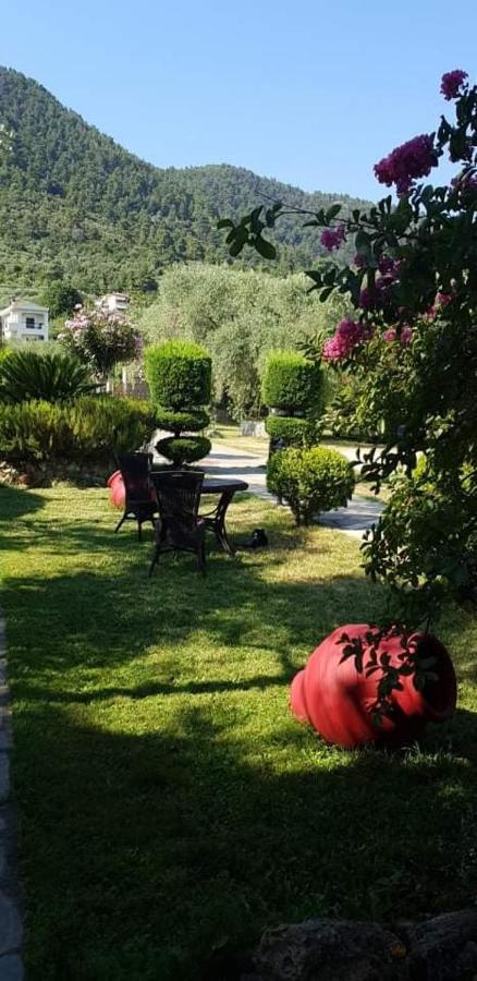 Hotel Maria Chrysi Ammoudia Dış mekan fotoğraf