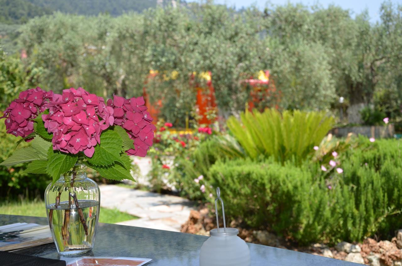 Hotel Maria Chrysi Ammoudia Dış mekan fotoğraf