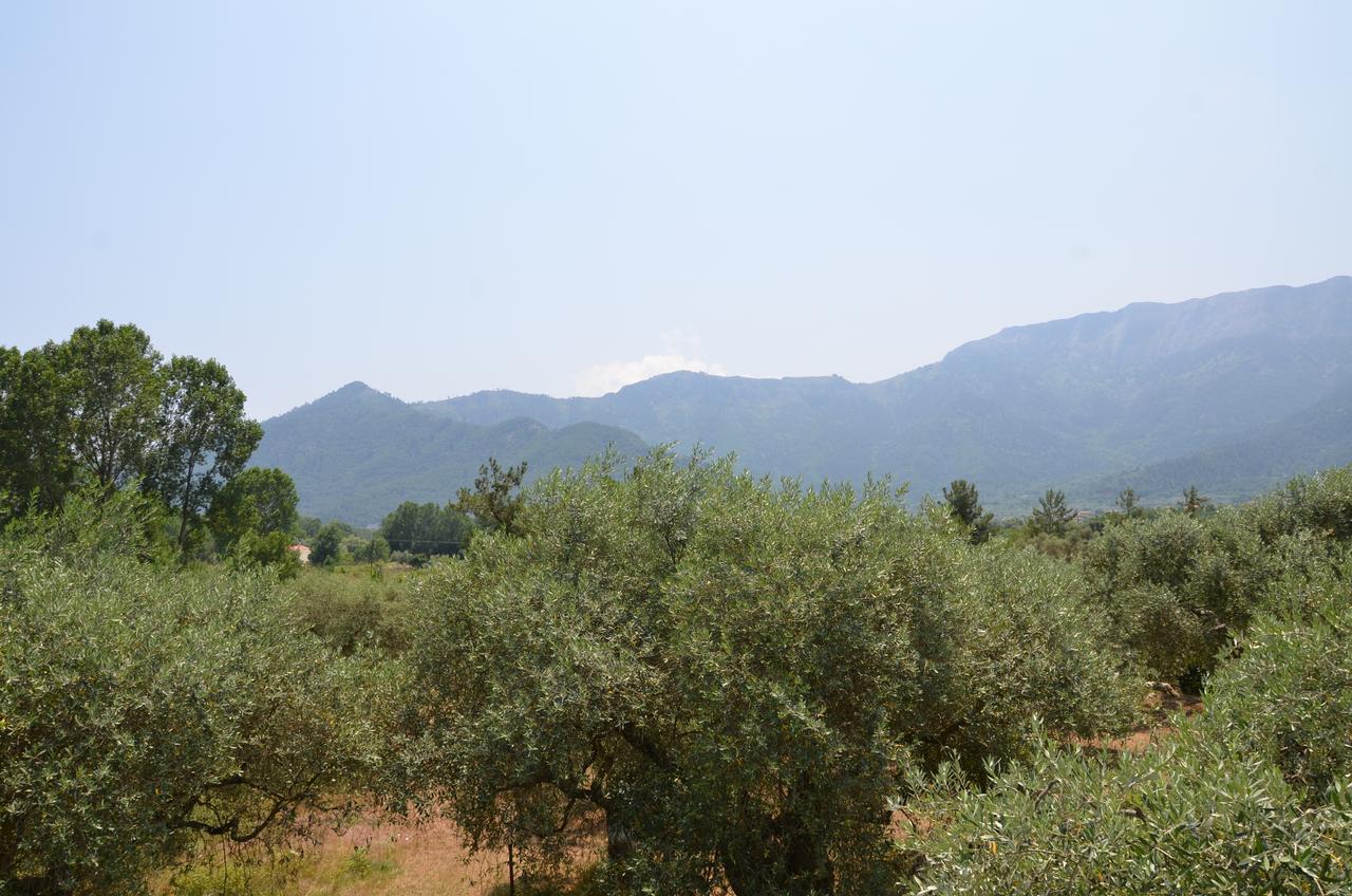 Hotel Maria Chrysi Ammoudia Dış mekan fotoğraf